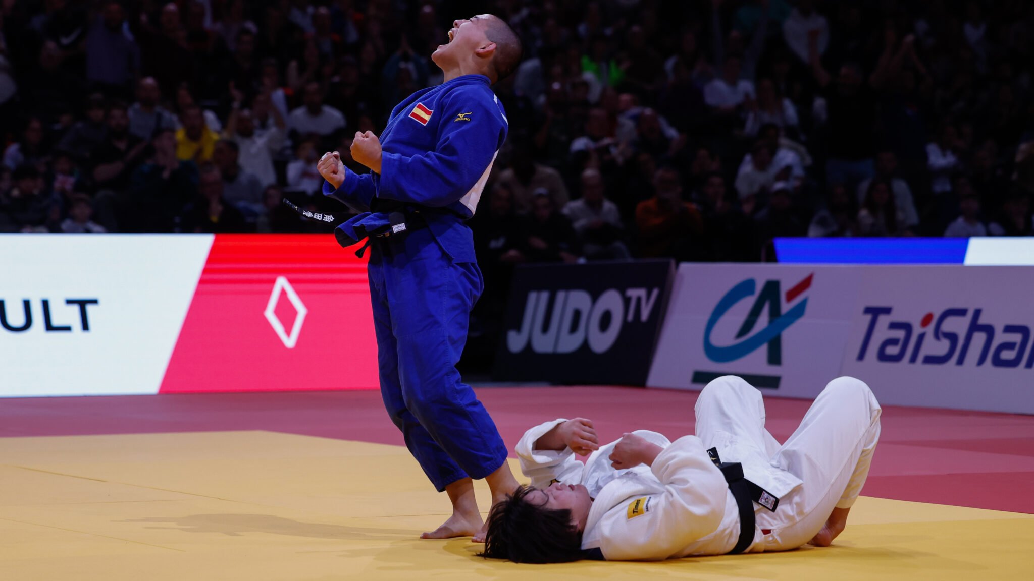 BIG PERFORMERS CONCLUDE IN PARIS