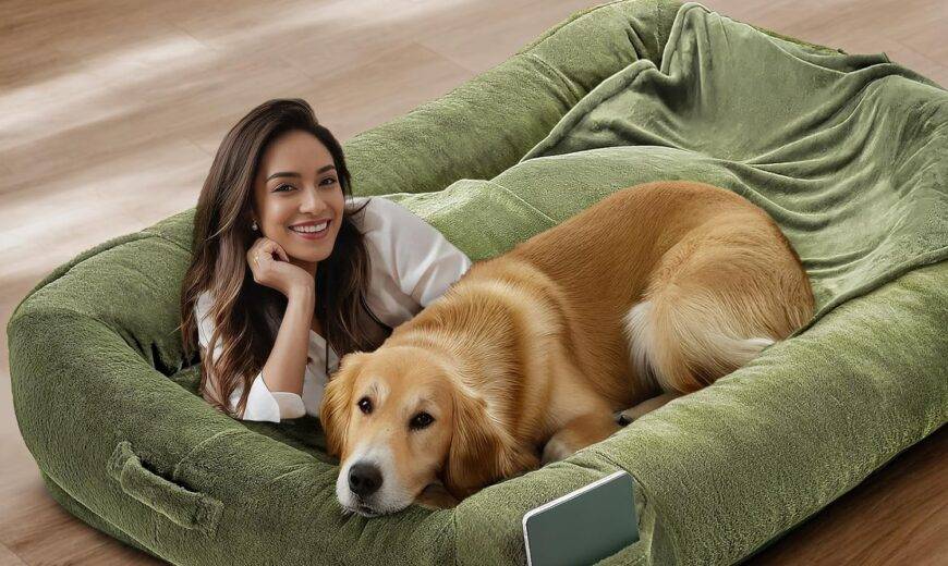 The Ultimate Human Dog Beds for Pawsitive Naps