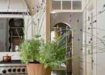 Vertical shiplap trim frames a kitchen doorway finished with a transom window.