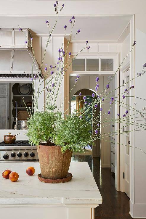 Vertical shiplap trim frames a kitchen doorway finished with a transom window.