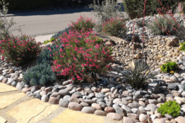 Achieve the Ideal Desert Landscape for Your Front Yard with Xeriscaping