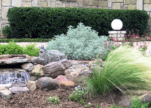 Plants and features that are for xeriscaping.