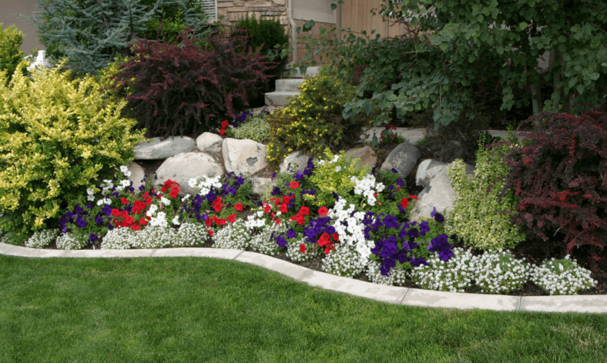 Low Maintenance Modern Front Yard Landscaping Ideas for Ultimate Curb Appeal