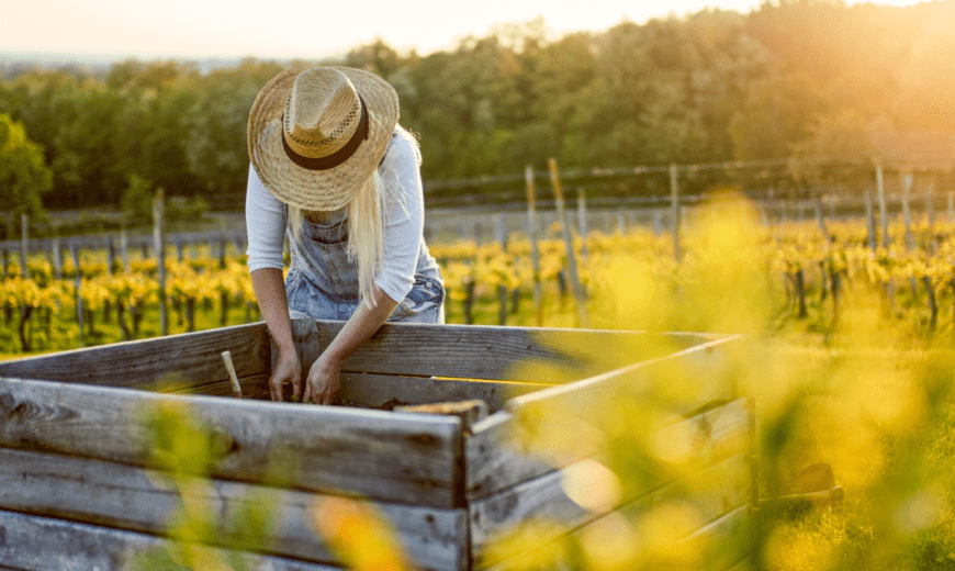 40 Inexpensive Raised Garden Bed Ideas for a Cheap, Above-Ground Garden