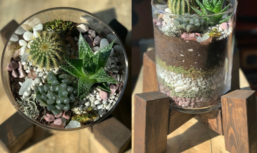 Design a Modern Living Succulent Terrarium