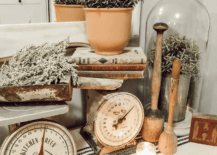 antique scales and greenery vintage mashers